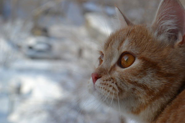 Жанна Плотникова