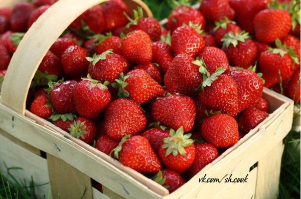 Ольга Рубанова