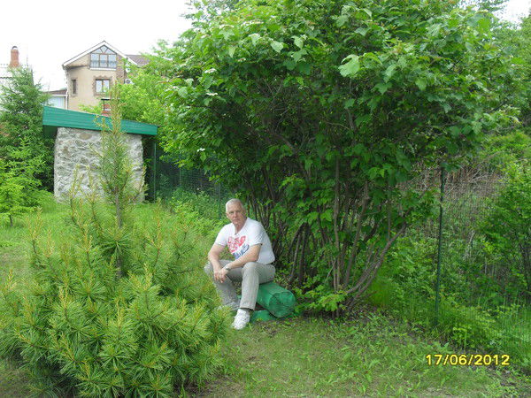 Владислав Белинский