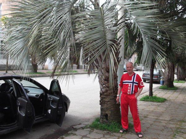 Владимир Яушев