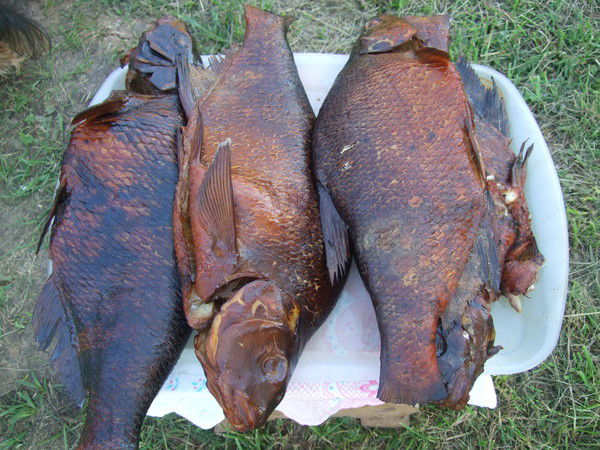 Катенька Сучкова