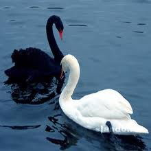 Наталия Олейник