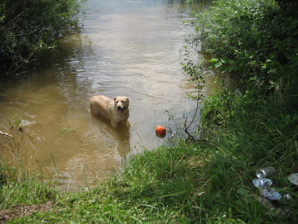 Валерий Жегалов