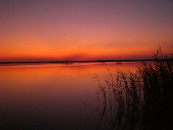 Людмила Богомолова