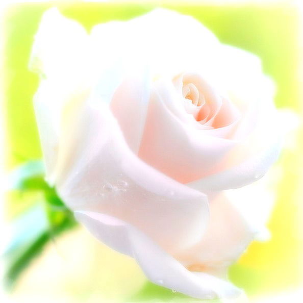 Бегимай Майдиева