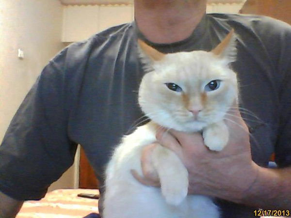 Александр Бузылев