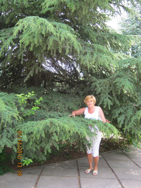 Галина Черных