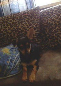 Сашка Реивер