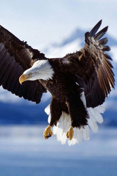 Леша Громов