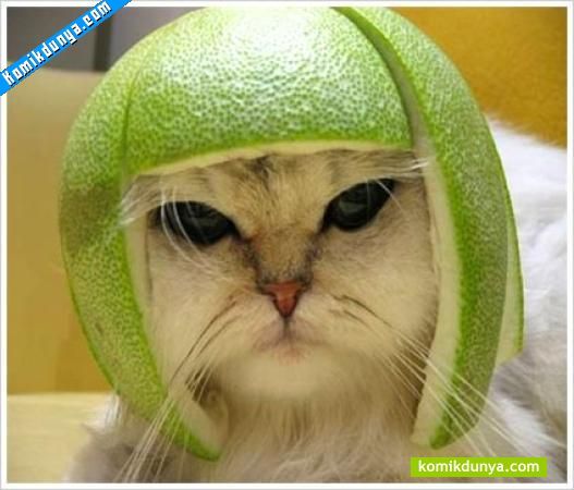 Анна Денина