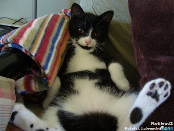 Михаил Кузнецов