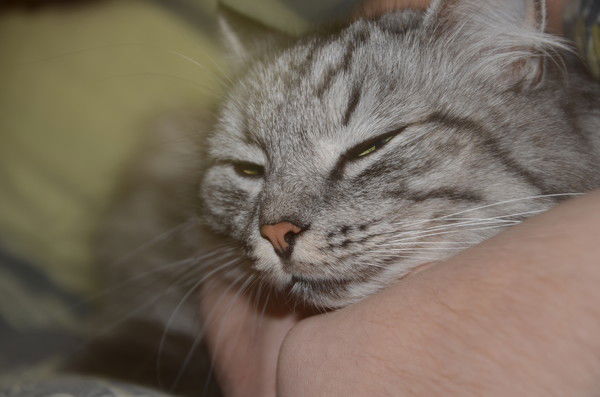 Андрей Фуфачев