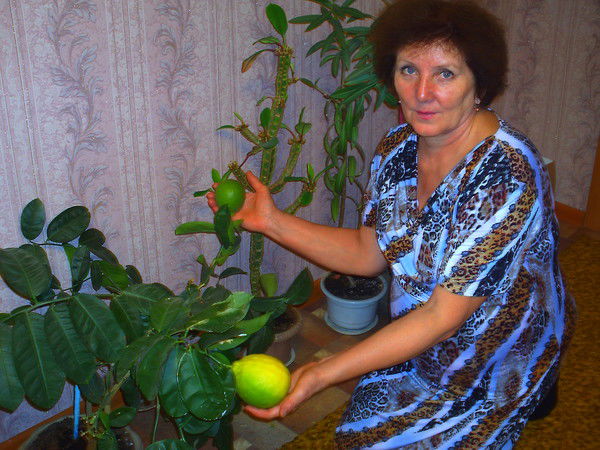 Альфина Шарыпова