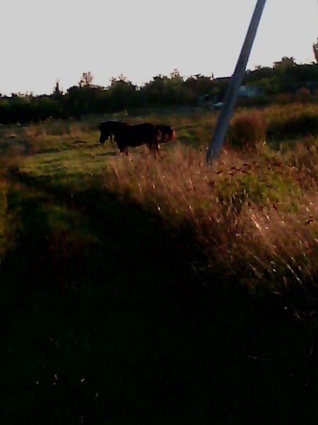 Сергей Крошко