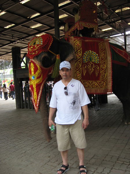 Дмитрий Стармоусов