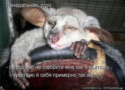 Вадим Чесноков