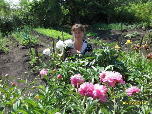 Валентина Гаврилова