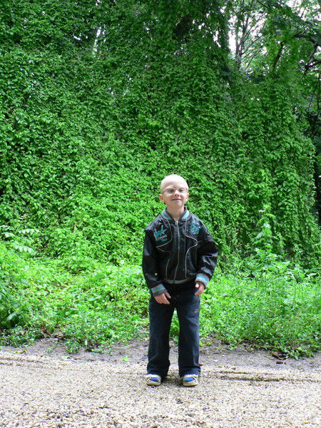 Анастасия Дрокова