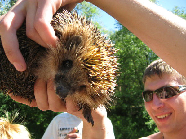 Жека Левченко