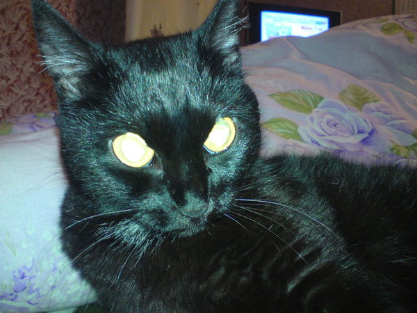 Юлия Гнездилова