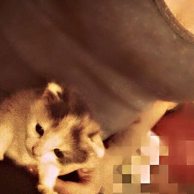 Халидушка Мингазова