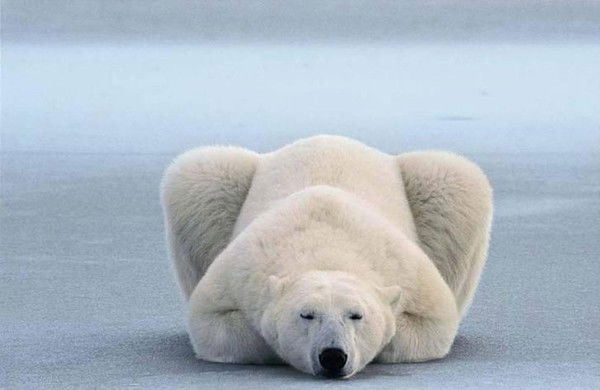 Чугунный Буратино