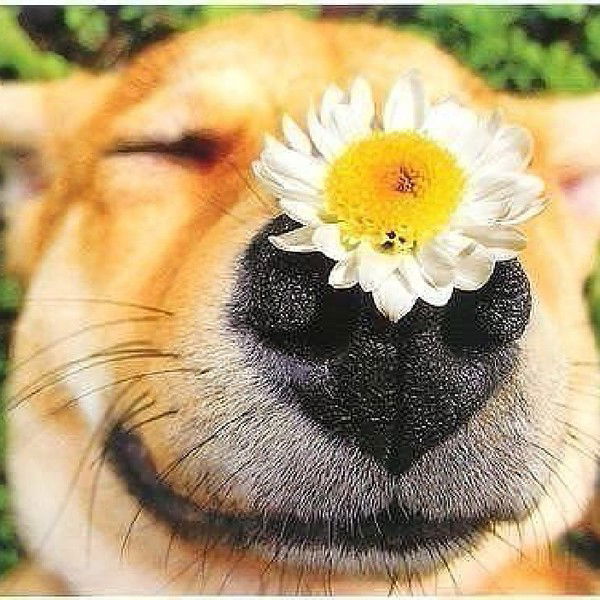 Наталья Инакова