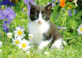 Надежда Паначева(Гурина)