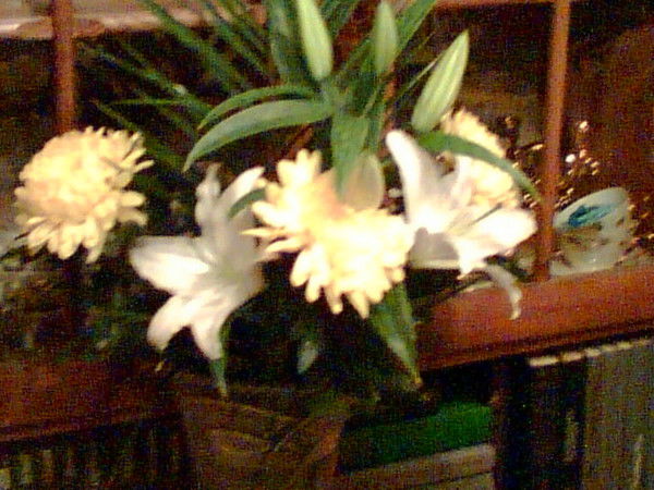 Наталья Левичева