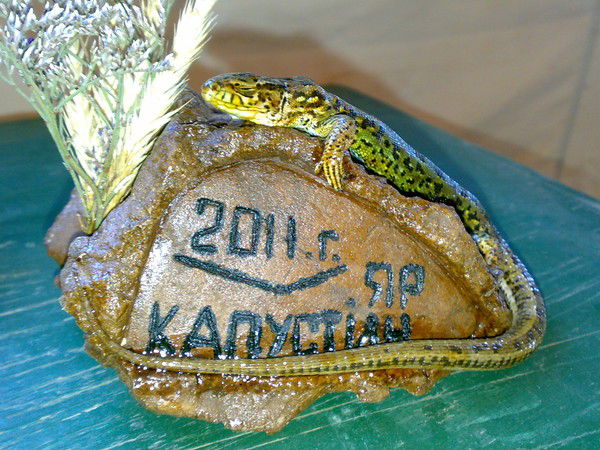 Сергей Спиридонов