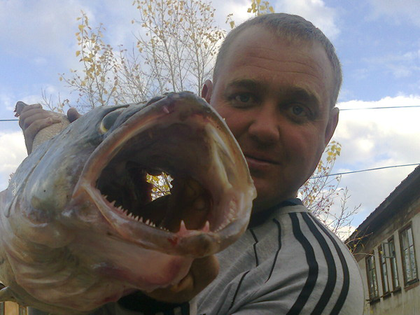 Юрий Ерохин