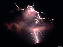 Дмитрий Шашкин