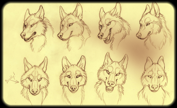 Максим Тимофеев