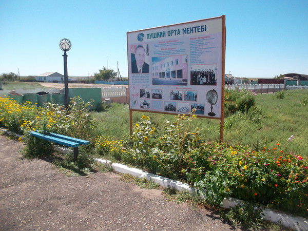 Пушкинская Средняя Школа