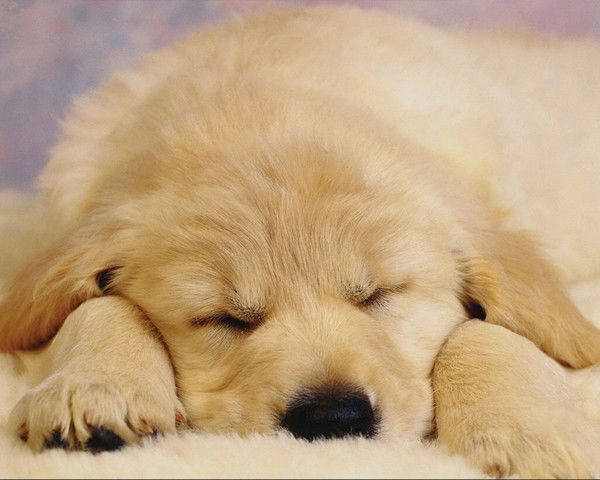 Анна Казакова(Миллер)