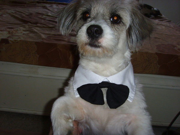 Варвара Голубева