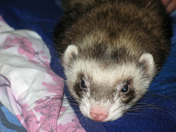 Наталья Жигирева