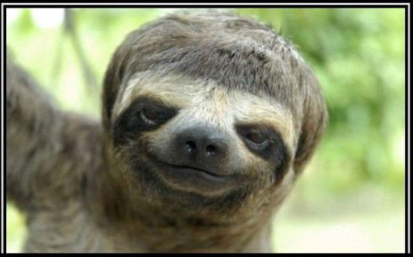 Неизвестно Неизвестно