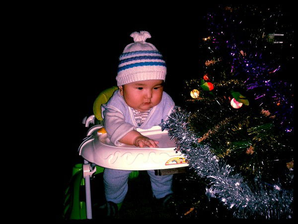 Луна Цветок