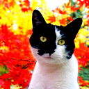 Петр Марченко