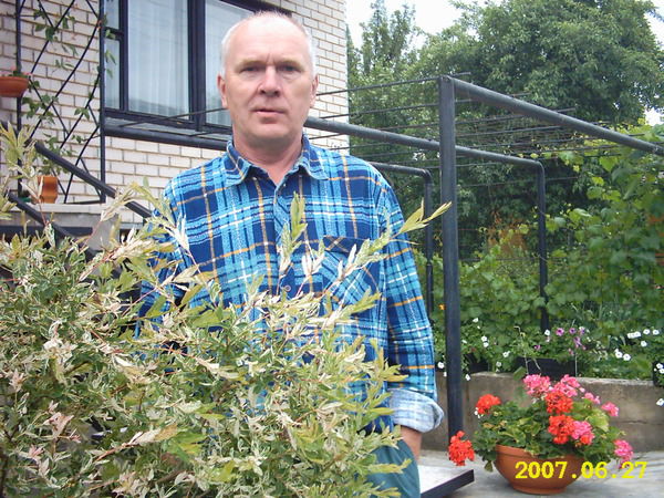 Николай Сергель