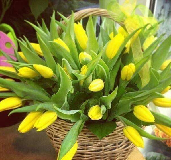 Гаухар Жалгаскызы