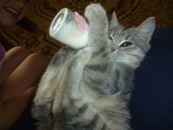 Эльвира Вафина