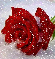 Гульнара Курмашева