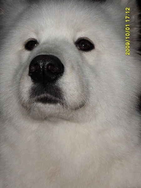 Мурат Касенов