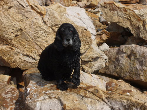 Неизвестно Неизвестно