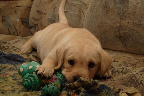 Екатерина Геннадьевна