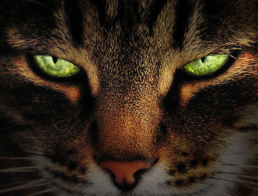 Галина Езерницкая