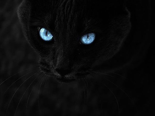 Ольга Банникова