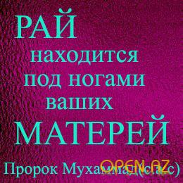 Алина Магомедова